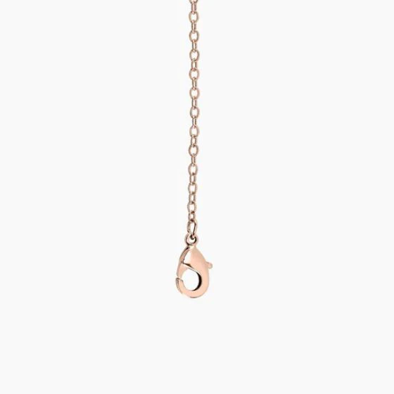 2" Link Chain Extenders - Image 4